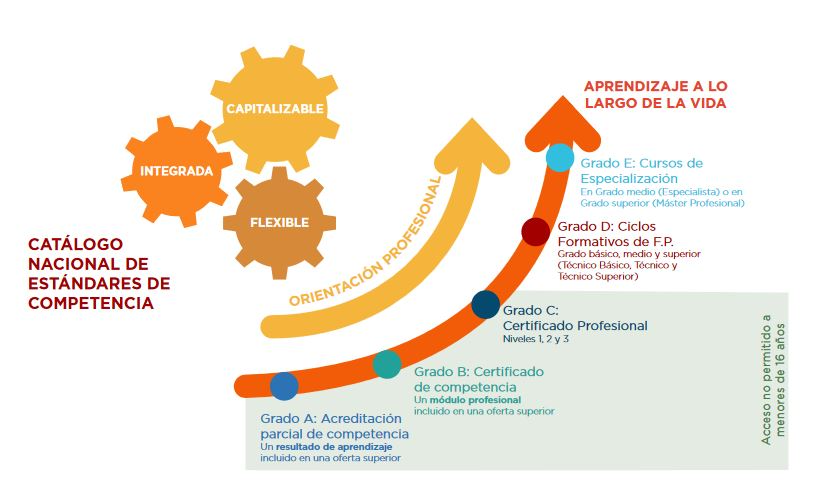 Catálogo nacional de estándares de competencia. Integrada, capitalizable y flexible. Orientación profesional. Aprendizaje a lo largo de la vida. Grado E: Cursos de Especialización, en grado medio (especialistas) o en Grado Superior (máster profesional). Grado D: Ciclos Formativos de FP, Grado básico, medio y superior(técnico básico, técnico y técnico superior). Acceso no permitido a menores de 16 años. Grado C: Certificado profesional, niveles 1, 2 y 3. Grado B: certificado de competencia, un módulo profesional incluido en una oferta superior. Grado A: acreditación parcial de competencia, un resultado de aprendizaje incluido en una oferta superior.
