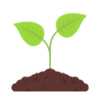 plant_growing